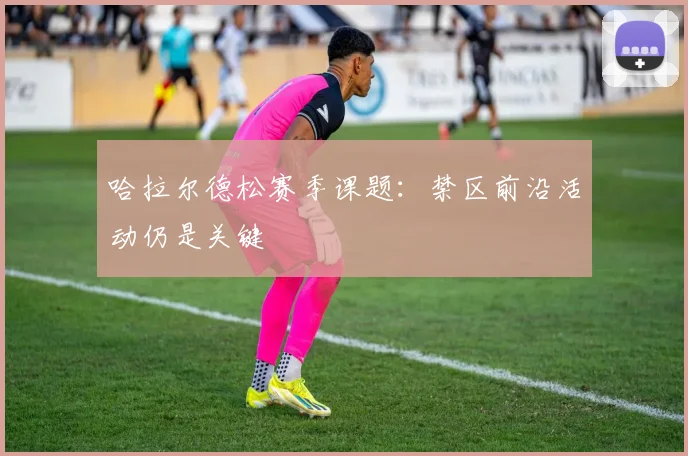 哈拉尔德松赛季课题:禁区前沿活动仍是关键