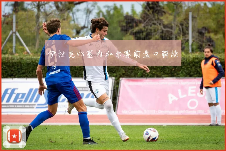 伊拉克vs塞内加尔赛前盘口解读