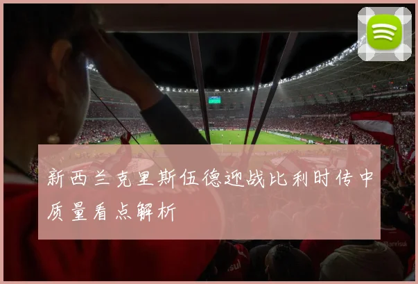 新西兰克里斯伍德迎战比利时传中质量看点解析
