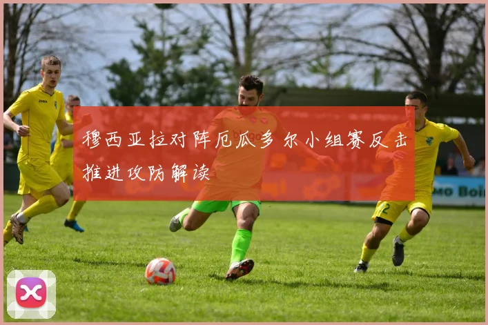 穆西亚拉对阵厄瓜多尔小组赛反击推进攻防解读