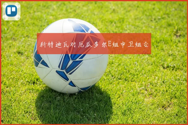 科特迪瓦对厄瓜多尔E组中卫组合