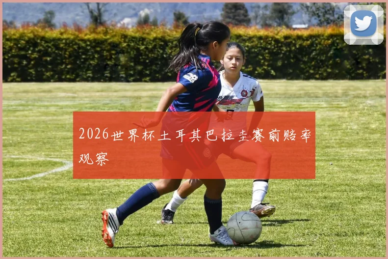 2026世界杯土耳其巴拉圭赛前赔率观察